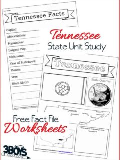 Tennessee State Fact Files - Free Printables Worksheets