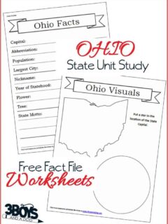 These Ohio State Fact File Worksheets are the perfect worksheets to help you and your child record many facts about the state of Ohio.