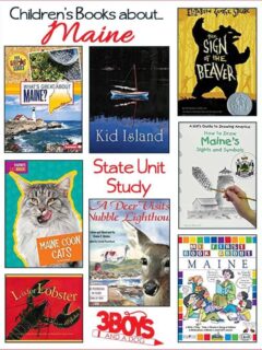 These books contain so much information about the long and varied History of this great State as well as stories about people from Maine.