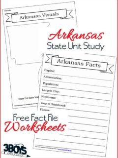 Free Arkansas State Fact File Worksheets