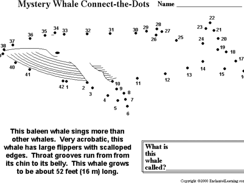 Image for Humpback Whale Connect-the-Dots