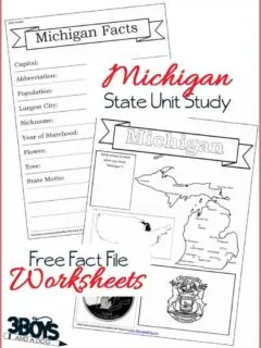 Michigan State Fact File Worksheets