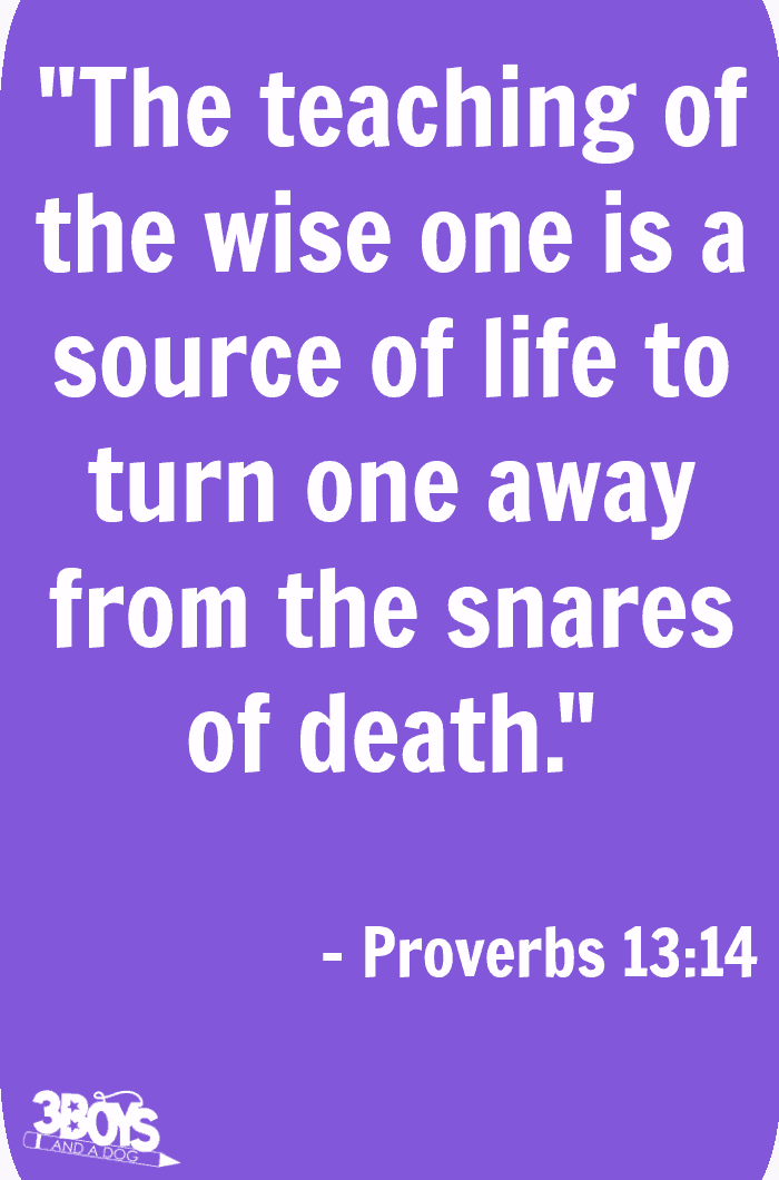 Proverbs 13 verse 14