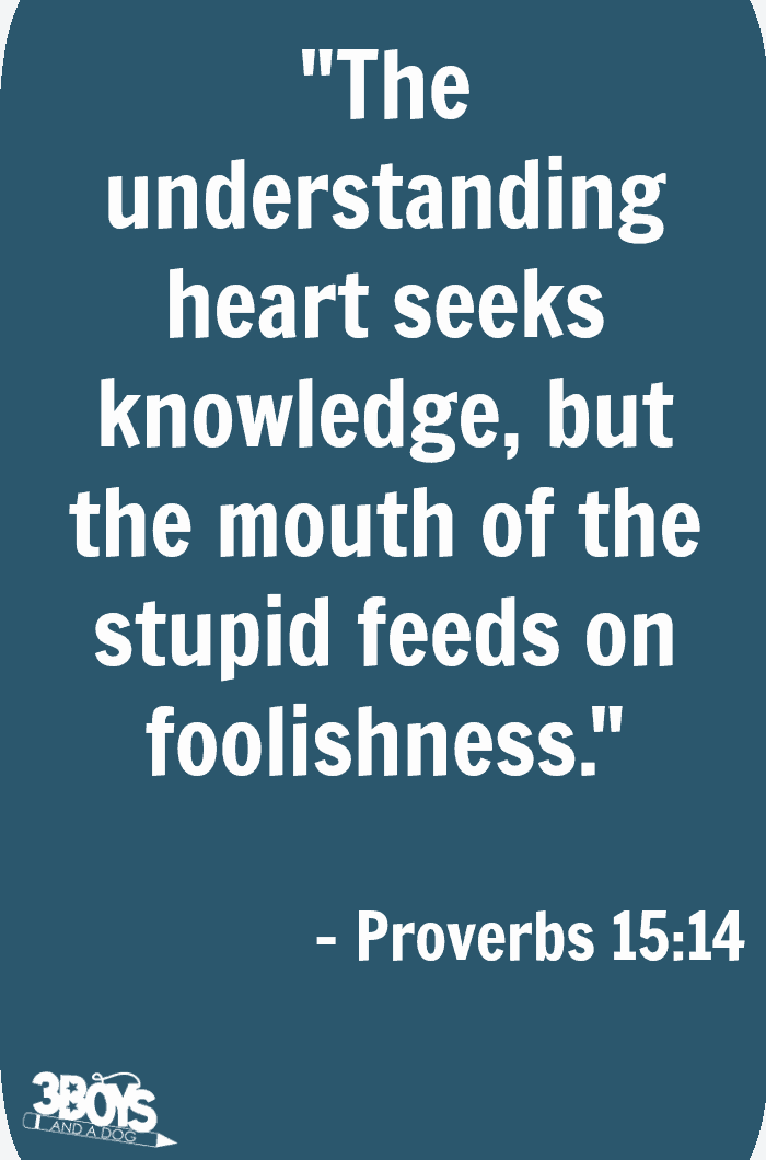 Proverbs 15 verse 14