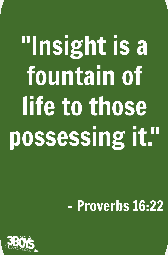 Proverbs 16 verse 22