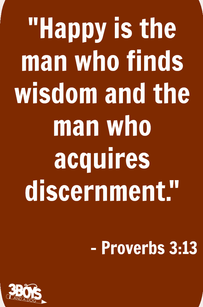 Proverbs 3 verse 13