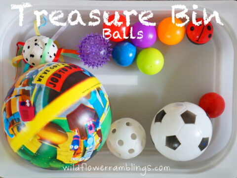 Image for Big and Small Sorting Activities