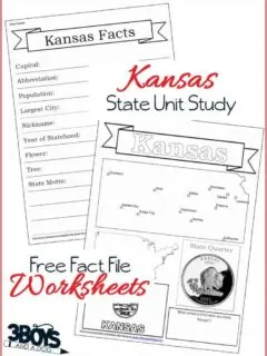 Kansas State Fact File Worksheets