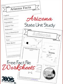 Arizona State Fact File Worksheets