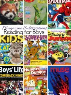This awesome list of The Best Magazines for Boys is sure to excite them and make them forget they are actually learning.