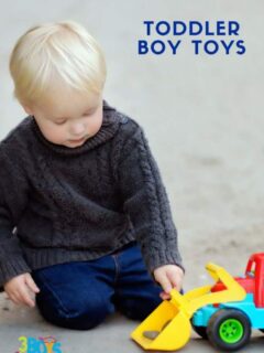 Fun Toddler Toys for Boys