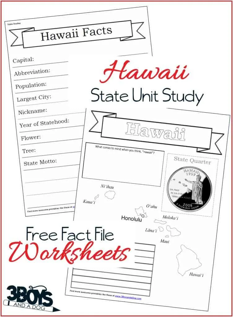 Hawaii State Fact File Worksheets