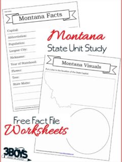 Montana Fact File Worksheets