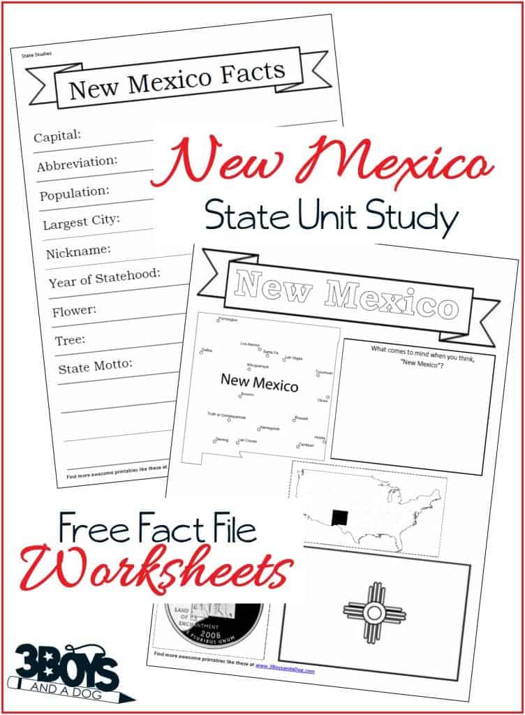 New Mexico State Fact File Worksheets