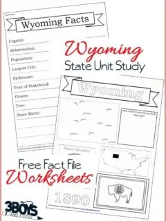 Wyoming State Fact Files