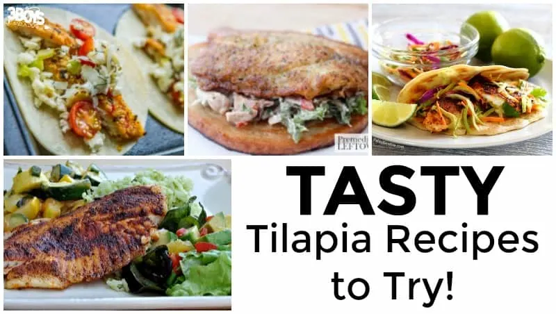 Tasty Tilapia Recipes to Try