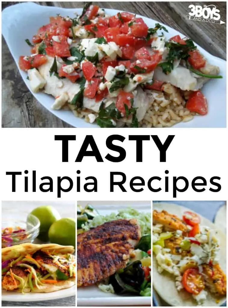 Tasty Tilapia Recipes