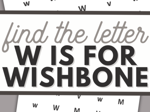 Engage young learners with a letter search activity titled Find the Letter and W is for Wishbone. Perfect for Thanksgiving printables for kindergarten, it features scattered letters w, m, and v against a background with charming wishbone illustrations.