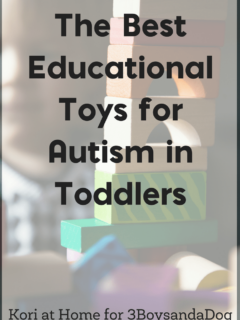 Autism in toddlers happens more often than people realize. But how can parents help? It can be as simple as having the right types of toys on hand. Here are just a few of the best education toddler toys for early autism.