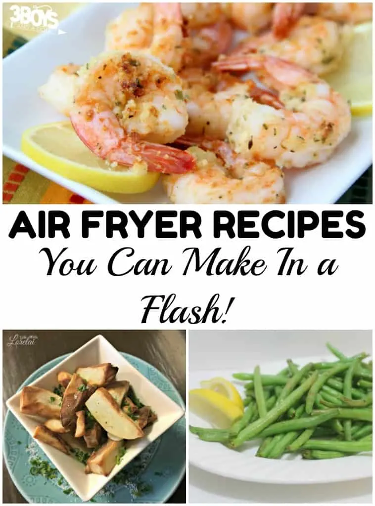 Fast Air Fryer Recipes
