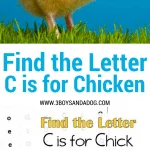C is for Chicken homeschooling freebies