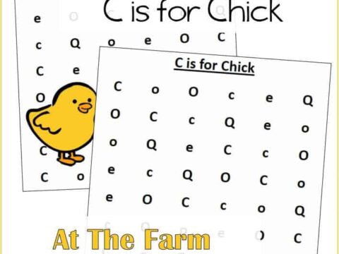 Find the Letter C is for Chick AT The Farm Unit Study