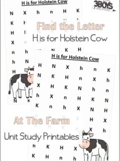 Find the Letter H is for Holstein Cow At the Farm Unit Study