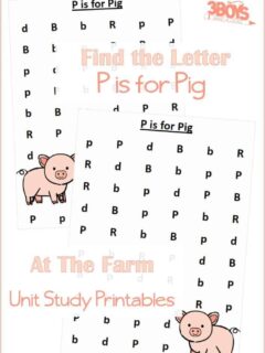 Find the Letter P is for Pig At the Farm Unit Study