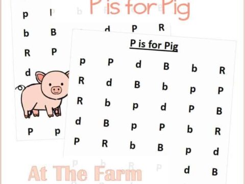 Find the Letter P is for Pig At the Farm Unit Study
