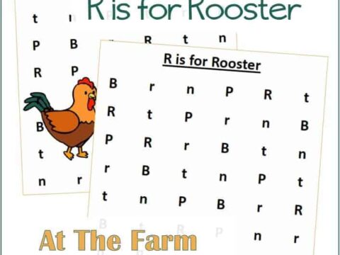 Find the Letter R is for Rooster At the Farm Unit Study