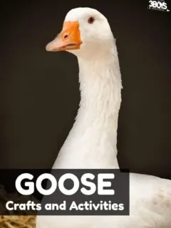 Goose Crafts and Activities