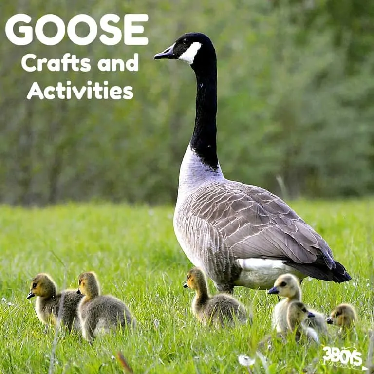 Goose Crafts and Activities for Kids
