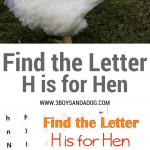 H is for Hen homeschooling freebies