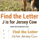 J is for Jersey Cow homeschooling freebies
