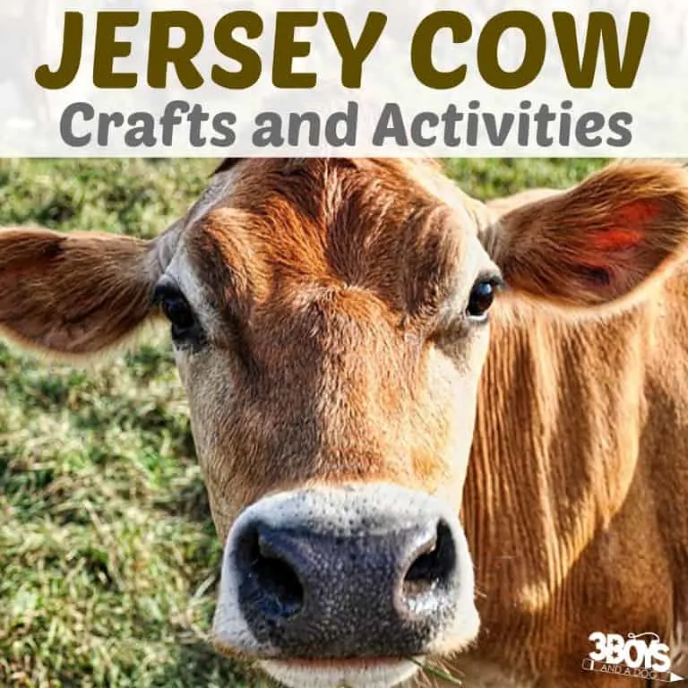 Jersey Cow Crafts and Activities for Kids to Try