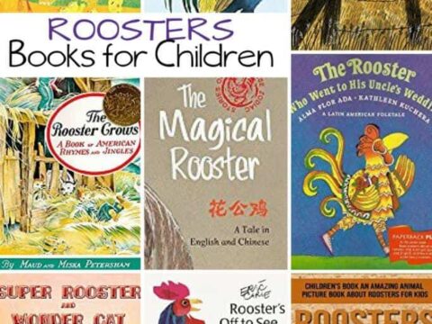 Books About Roosters for Kids