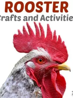 Rooster Crafts and Activities for Kids to Try