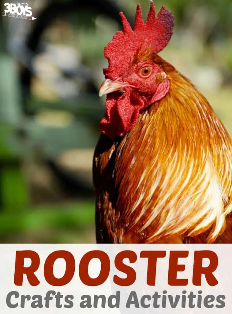 Rooster Crafts and Activities