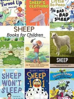 Sheep at the Farm Books for Kids