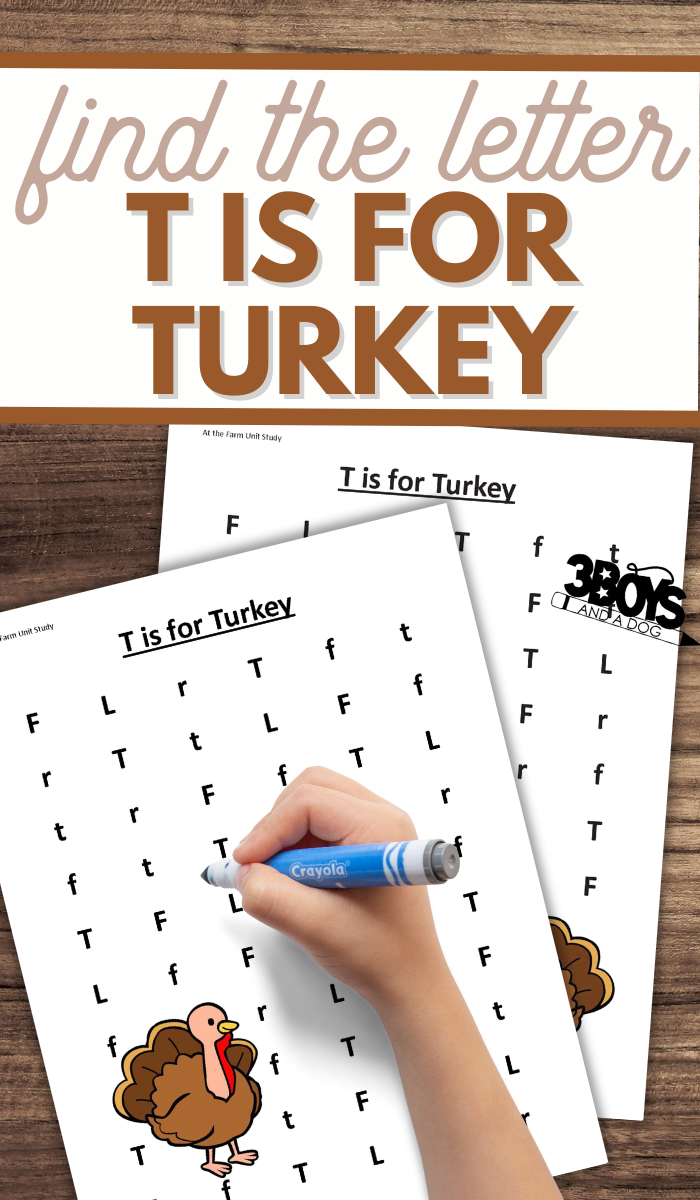 Free Printable T Is For Turkey Worksheets