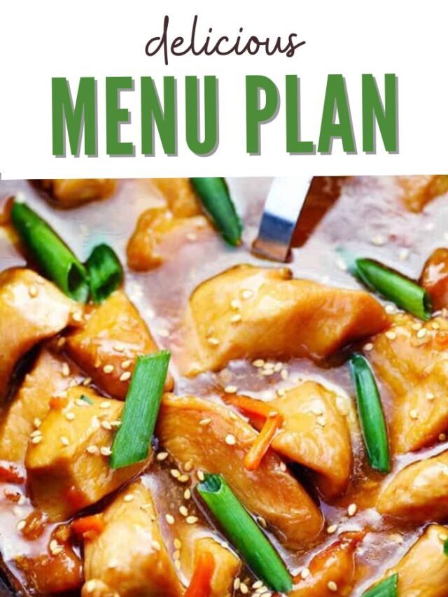 Quick Menu Ideas for Busy Families
