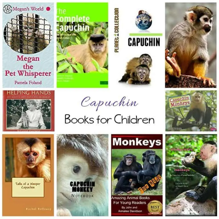 Capuchin Monkey Books for Children