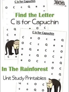 Find the Letter C is for Capuchin