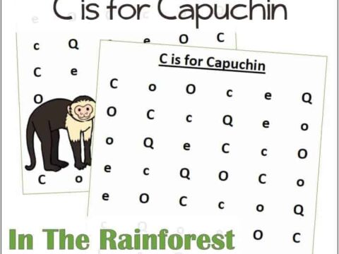 Find the Letter C is for Capuchin