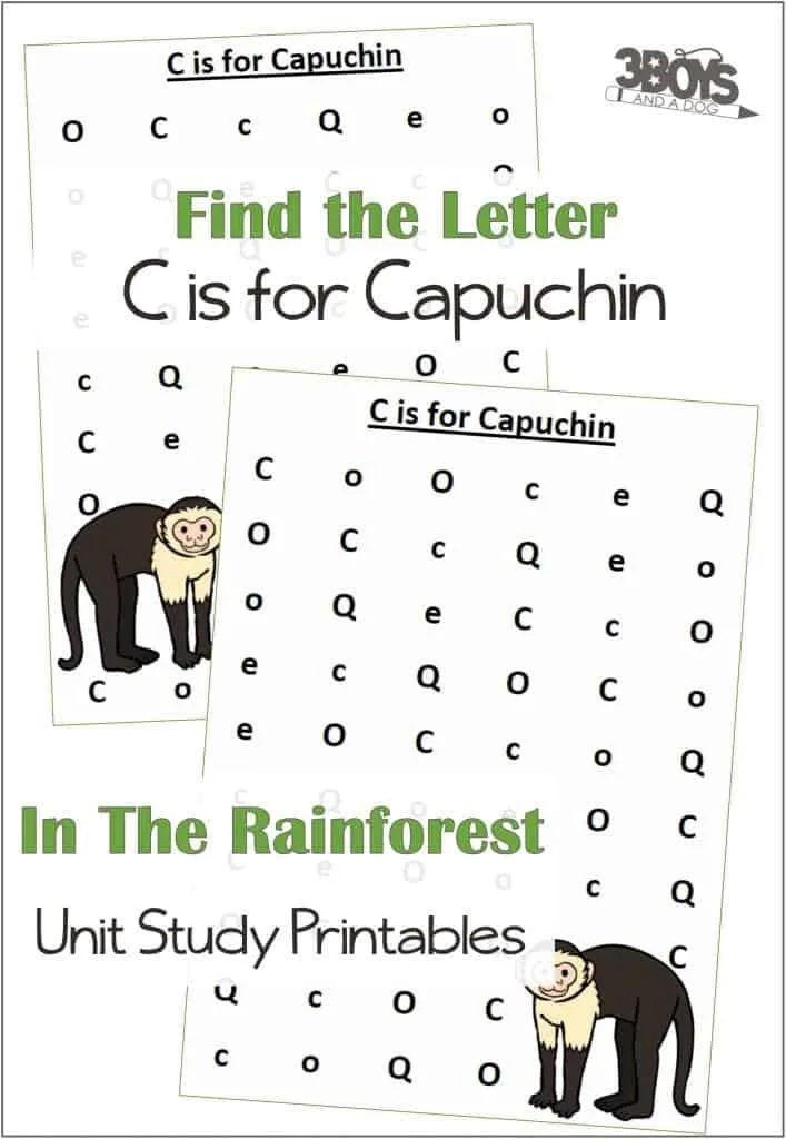 Find the Letter C is for Capuchin