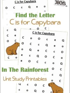 Find the Letter C is for Capybara