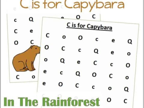 Find the Letter C is for Capybara