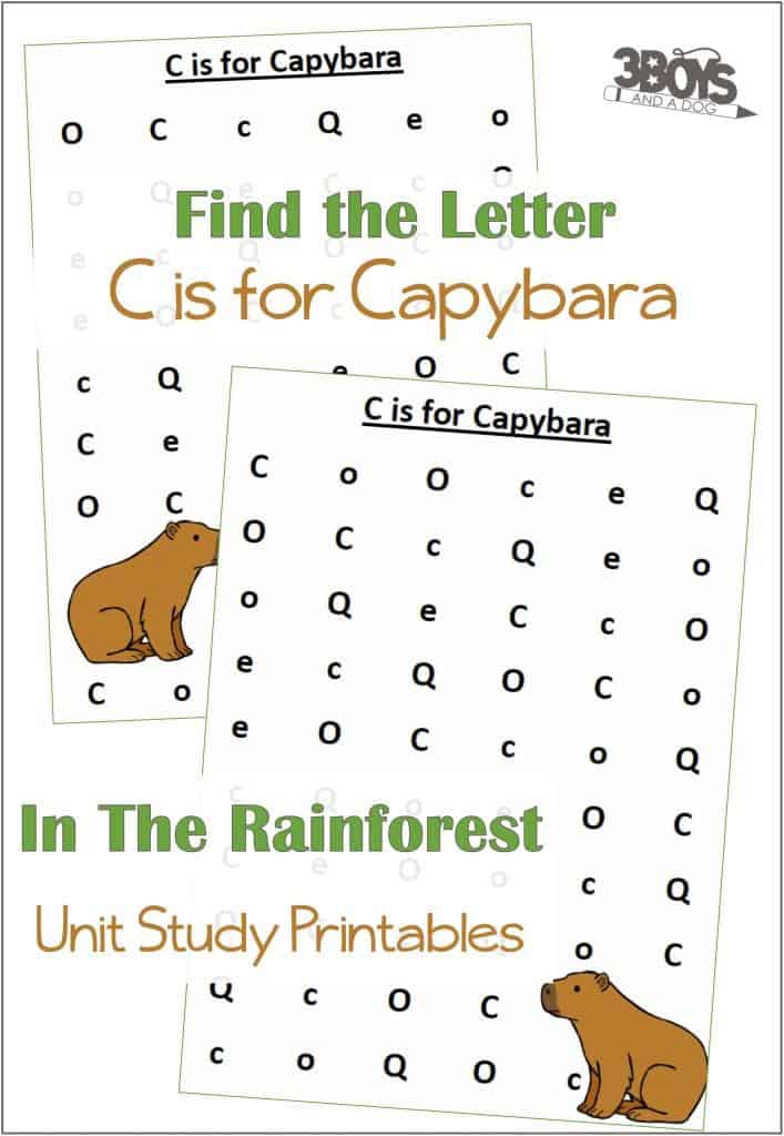 Find the Letter C is for Capybara