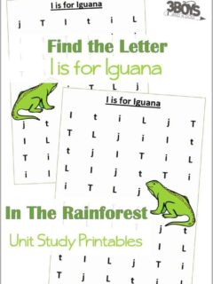 Find the Letter I is for Iguana