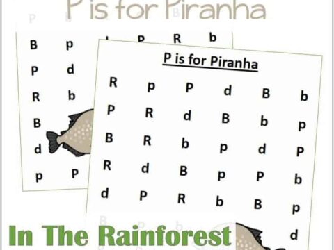 Find the Letter P is for Piranha
